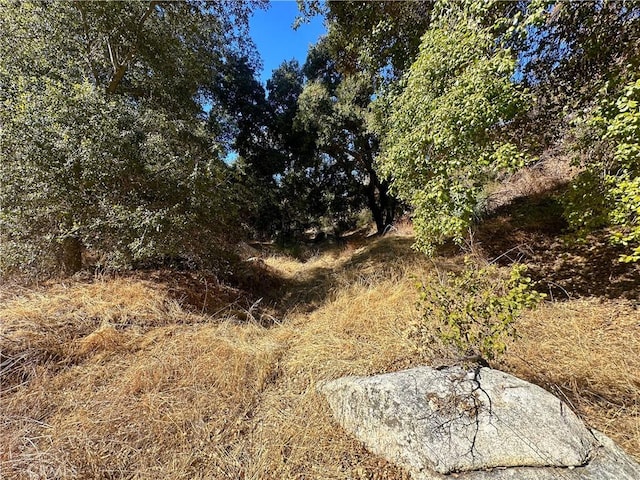 28618 Chihuahua Valley Rd, Warner Springs, CA 92086 - photo 25