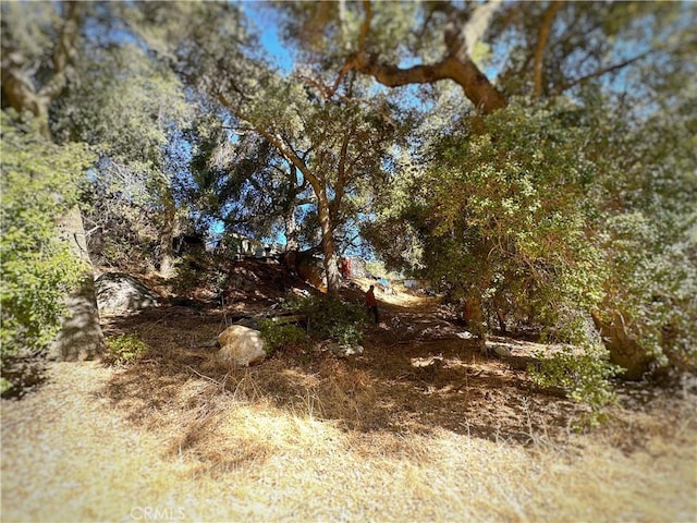 28618 Chihuahua Valley Rd, Warner Springs, CA 92086 - photo 23