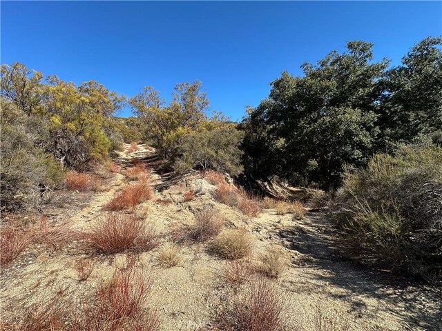 28618 Chihuahua Valley Rd, Warner Springs, CA 92086 - photo 8