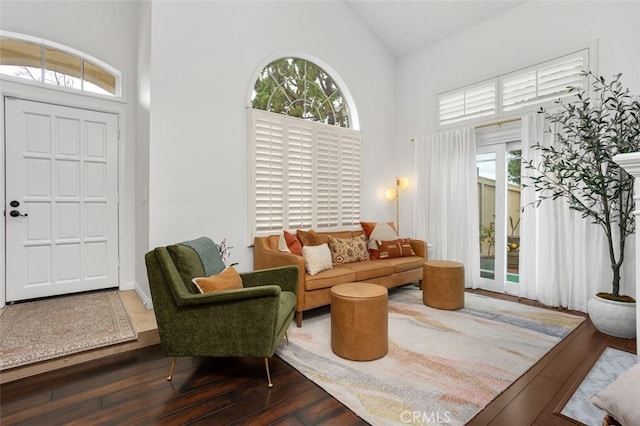 living room with high vaulted ceiling, a healthy amount of sunlight, and hardwood / wood-style floors