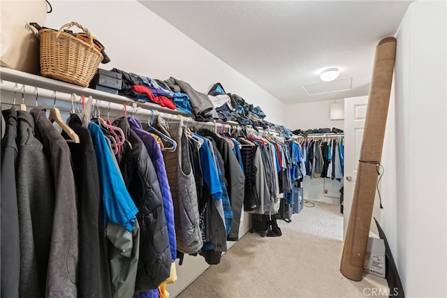 spacious closet featuring attic access and carpet flooring