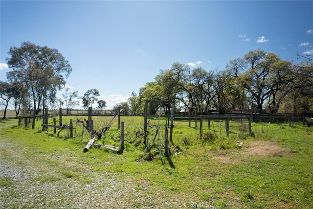 view of yard featuring a rural view