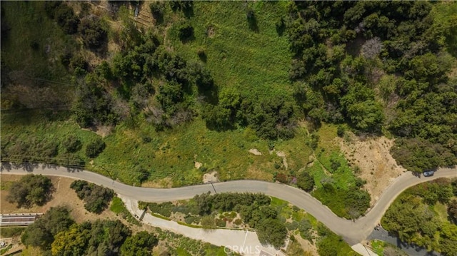 1875 Subtropic Dr, La Habra Heights, CA 90631 - photo 16