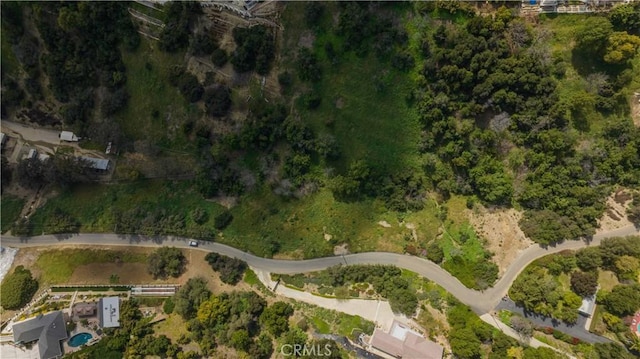 1875 Subtropic Dr, La Habra Heights, CA 90631 - photo 17