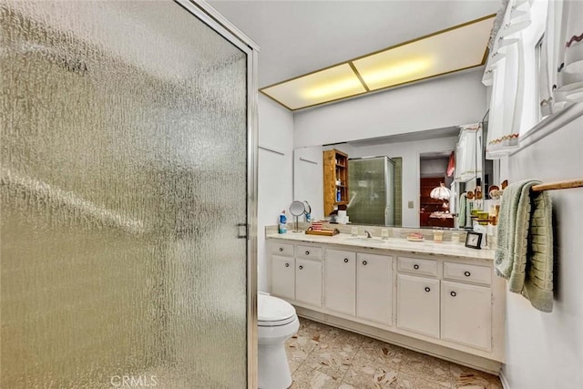 bathroom featuring toilet, a stall shower, and vanity