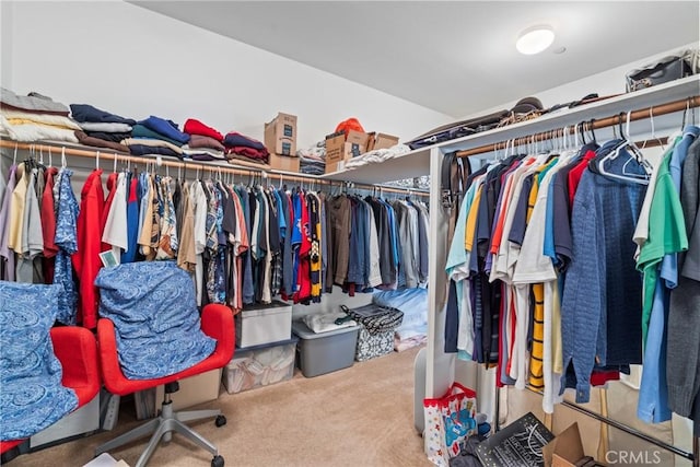 walk in closet with carpet