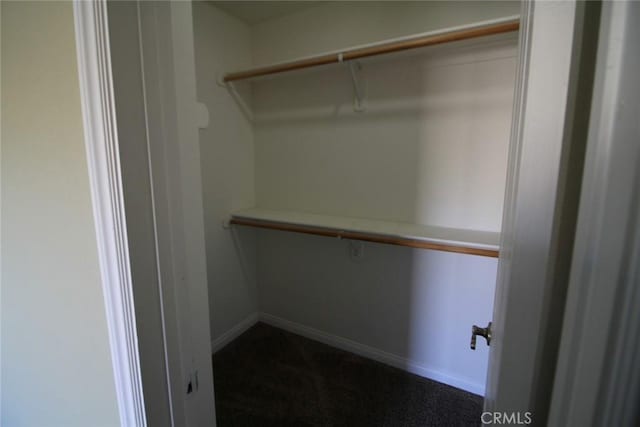 walk in closet with dark colored carpet