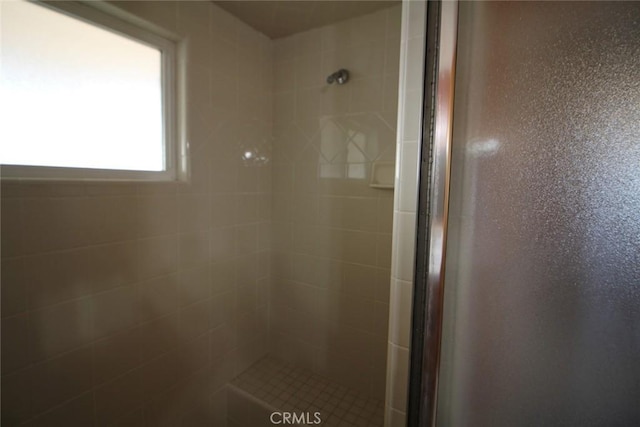 full bathroom with a shower stall