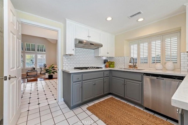 43966 Highlander Dr, Temecula, CA 92592 - kitchen featuring gray cabinetry, stainless steel appliances, a sink, under cabinet range hood, and tasteful backsplash