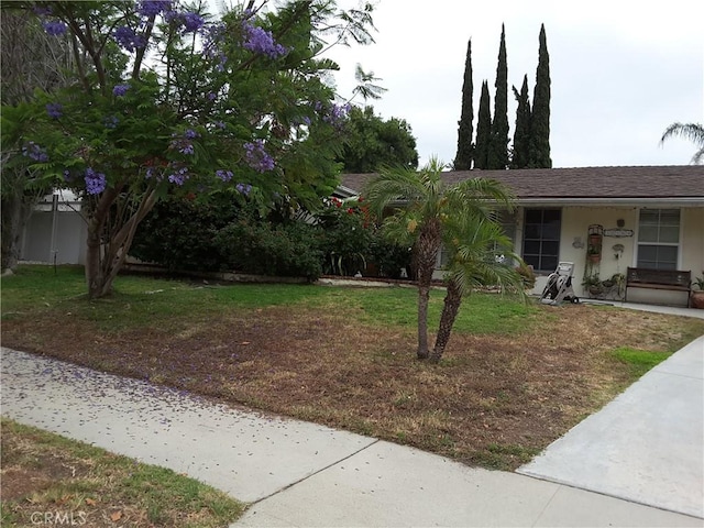 view of front of property featuring stucco siding and a front yard