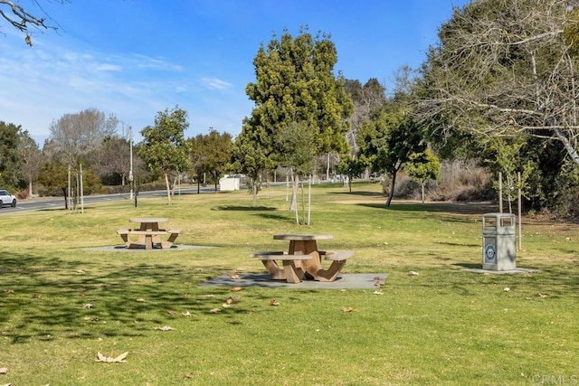 view of community with a lawn