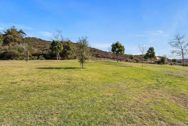 view of yard with a rural view