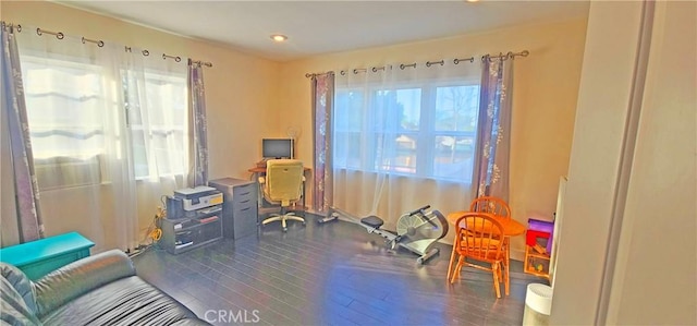 home office featuring wood finished floors