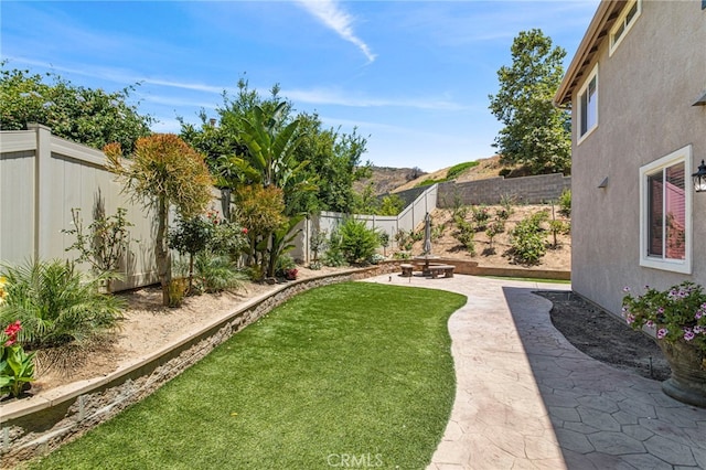 view of yard with a patio area and a fenced backyard