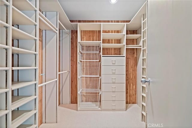 view of walk in closet