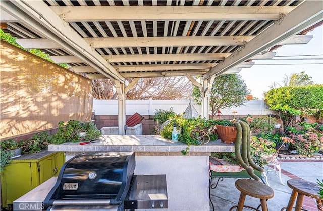 view of patio / terrace with a fenced backyard and grilling area