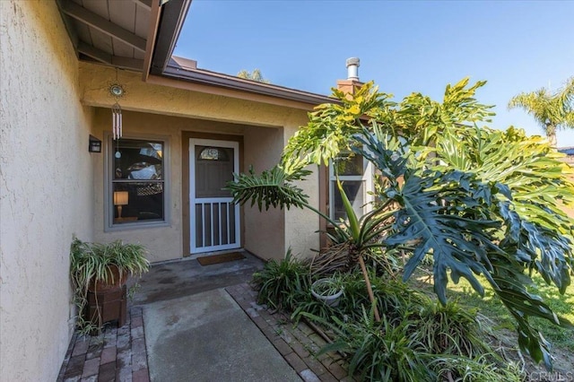 view of exterior entry featuring stucco siding