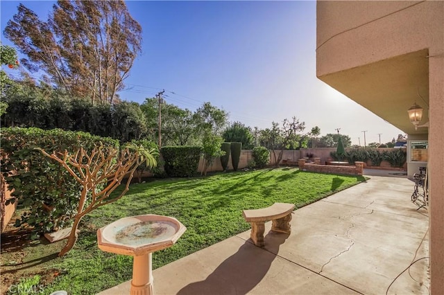 view of yard featuring a fenced backyard and a patio area