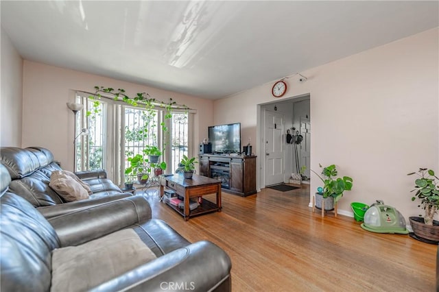 living area with wood finished floors