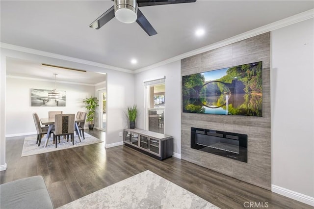 living room featuring wood finished floors, a large fireplace, and ornamental molding