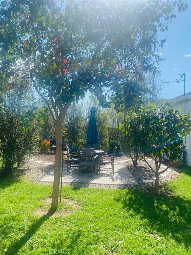 view of yard with a patio