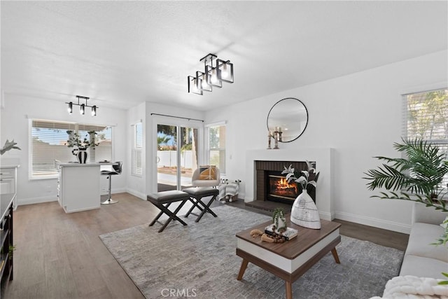 living room with baseboards, wood finished floors, and a fireplace