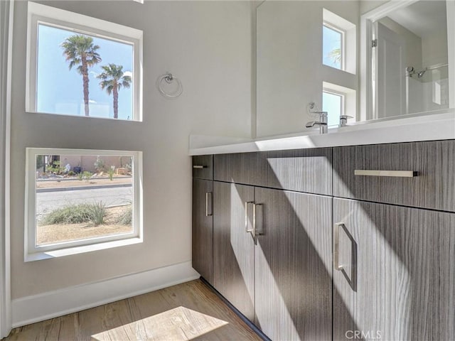 bathroom featuring a wealth of natural light, vanity, and wood finished floors