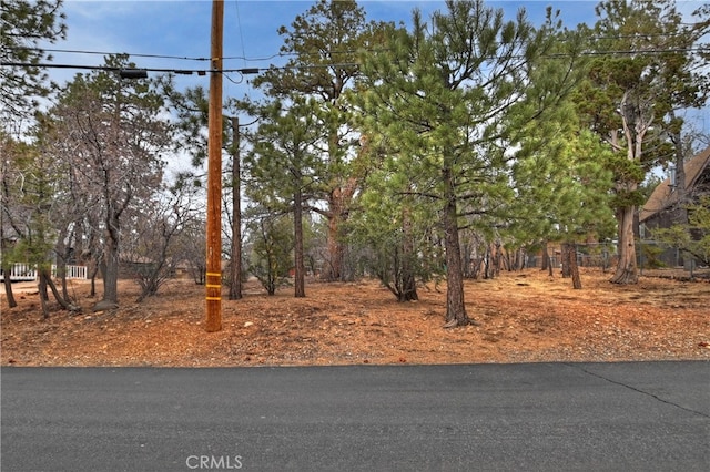 Listing photo 3 for 0 Wabash Ln, Sugarloaf CA 92386