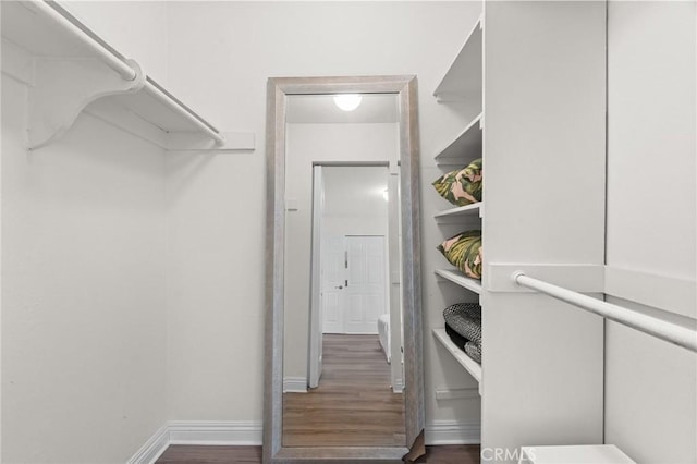 walk in closet featuring wood finished floors