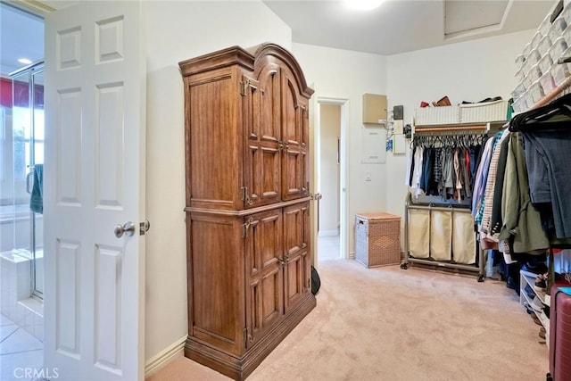 walk in closet with light carpet