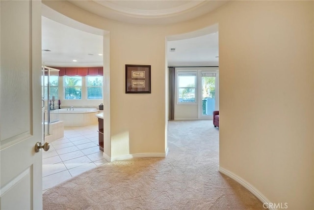 hall with plenty of natural light, light colored carpet, and baseboards