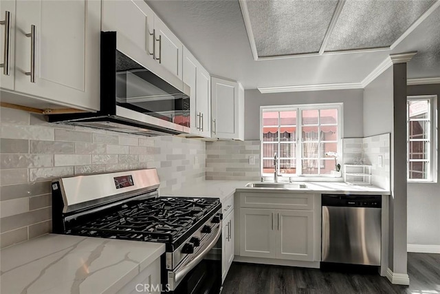 kitchen with a sink, appliances with stainless steel finishes, dark wood finished floors, and a healthy amount of sunlight