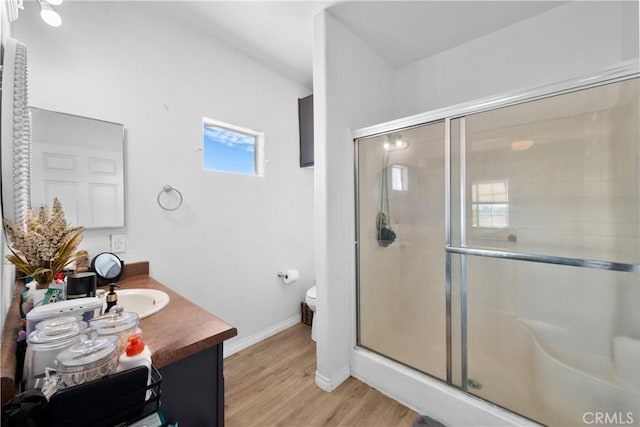 bathroom featuring vanity, a shower stall, toilet, and wood finished floors