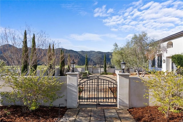 view of gate with a fenced front yard and a mountain view