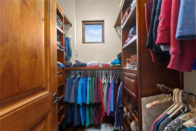 view of spacious closet