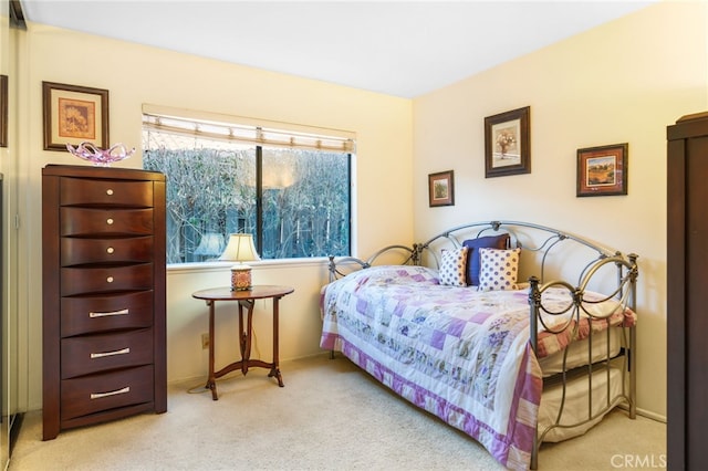 bedroom with carpet floors