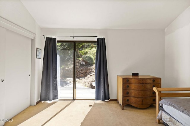 bedroom with access to exterior and carpet