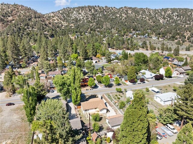 955 Apple Ave, Wrightwood, CA 92397 - photo 37