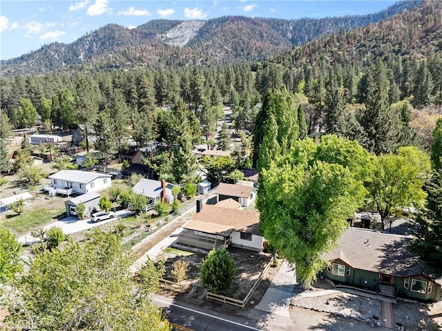 955 Apple Ave, Wrightwood, CA 92397 - photo 34