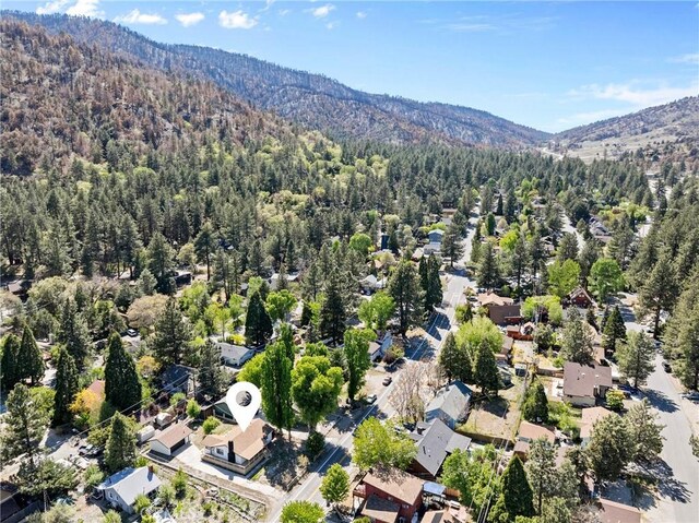 955 Apple Ave, Wrightwood, CA 92397 - photo 38