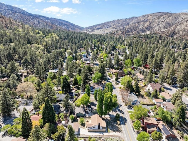955 Apple Ave, Wrightwood, CA 92397 - photo 39