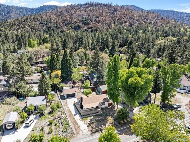 955 Apple Ave, Wrightwood, CA 92397 - photo 35