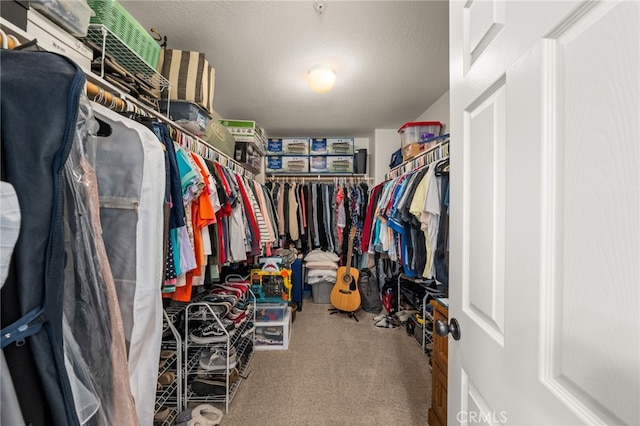 walk in closet featuring carpet floors