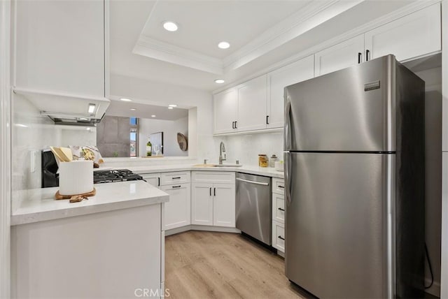 kitchen with white cabinetry, a raised ceiling, appliances with stainless steel finishes, and a sink