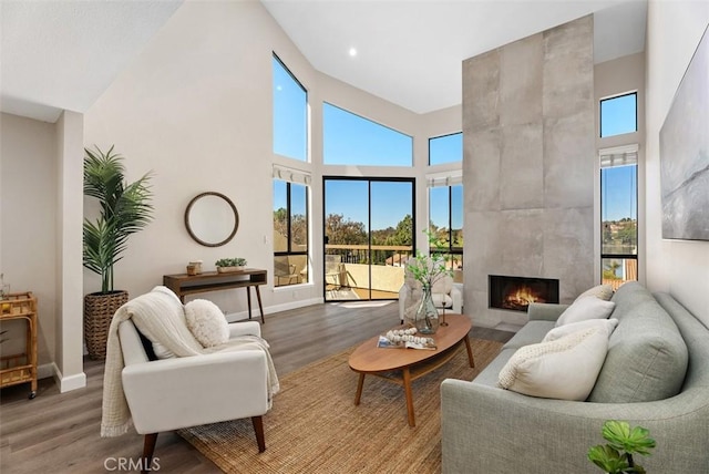 living area featuring a fireplace, baseboards, and wood finished floors