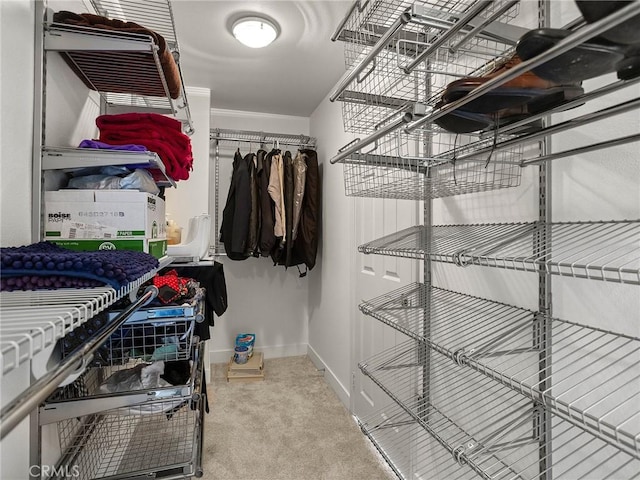 spacious closet with carpet flooring