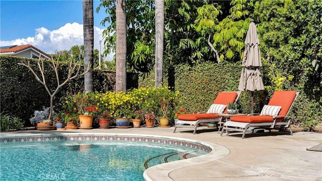 outdoor pool with a patio