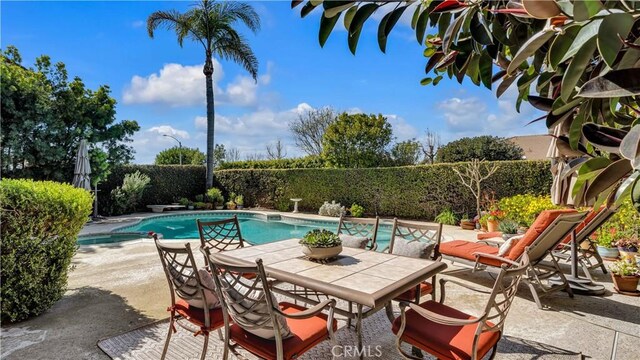 view of pool featuring a fenced in pool, a fenced backyard, and a patio area