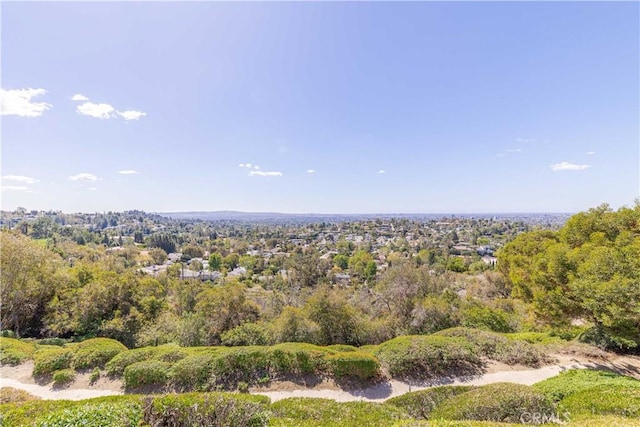 aerial view with a view of trees