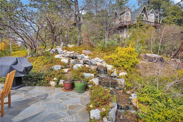 view of patio / terrace featuring area for grilling